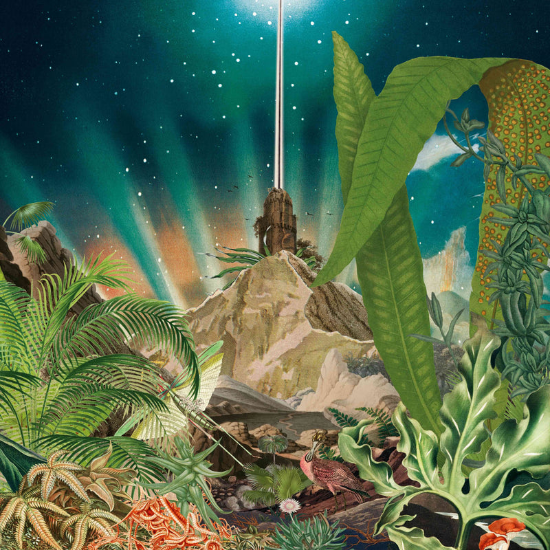 Imaginary Island Music: Ascension - Volume 2