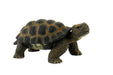 Bullyland 63553-Figura de Juego, Tortuga terrestre, Aprox. 13 cm de Altura, Figura Pintada a Mano, sin PVC, para Que los niños jueguen de Forma imaginativa, Color Colorido (63553