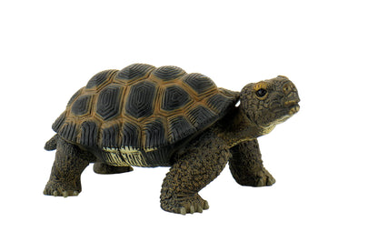 Bullyland 63553-Figura de Juego, Tortuga terrestre, Aprox. 13 cm de Altura, Figura Pintada a Mano, sin PVC, para Que los niños jueguen de Forma imaginativa, Color Colorido (63553