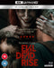 Evil Dead Rise 4K UHD