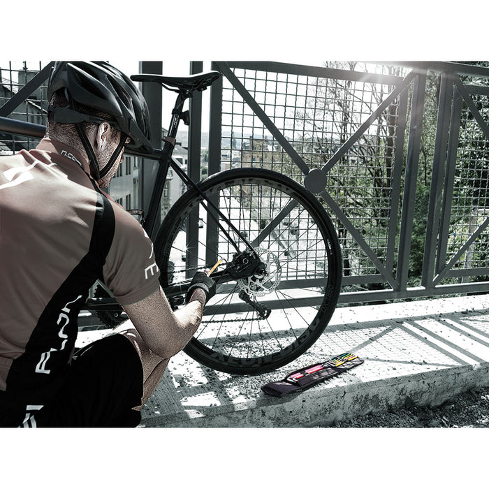 Wera 05004173001 Bicycle Set 4, Fahrrad Winkelschlüssel Satz, 9-teilig