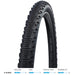 Schwalbe