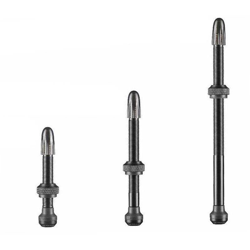 Schwalbe Unisex's UTLV Tubeless Valve Pair