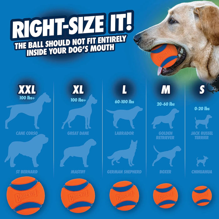Chuckit! Ultra Ball, Durable Dog Ball High Bounce Rubber Dog Toy, Launcher Compatible, 1 Pack, Medium 1 Pack Medium