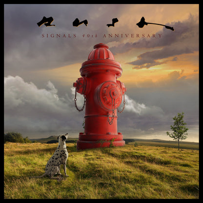 Signals: 40th Anniversary
