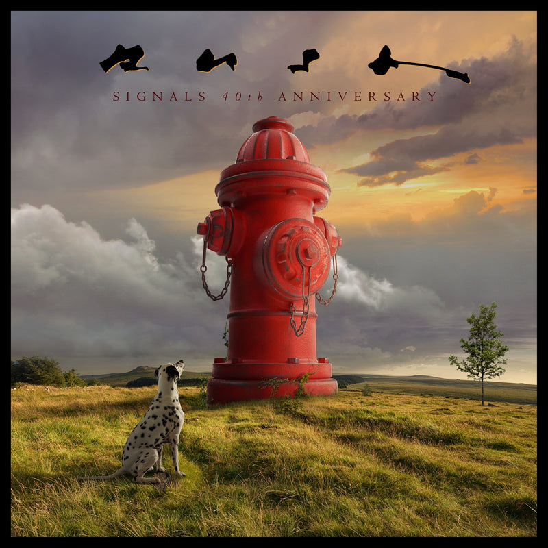 Signals: 40th Anniversary