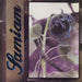 Samiam