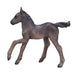 MOJO - Animal Planet Arabisch, schwarz (381015