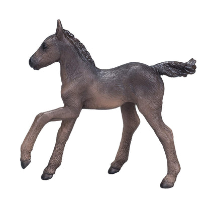MOJO - Animal Planet Arabisch, schwarz (381015