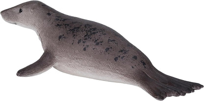 Science4you - Foca, Kunststoff, Größe L, grau (787.0