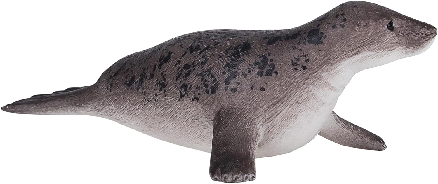Science4you - Foca, Kunststoff, Größe L, grau (787.0