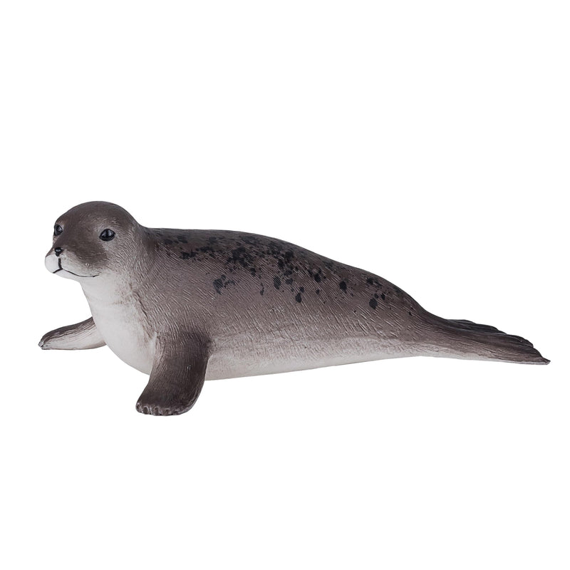 Science4you - Foca, Kunststoff, Größe L, grau (787.0