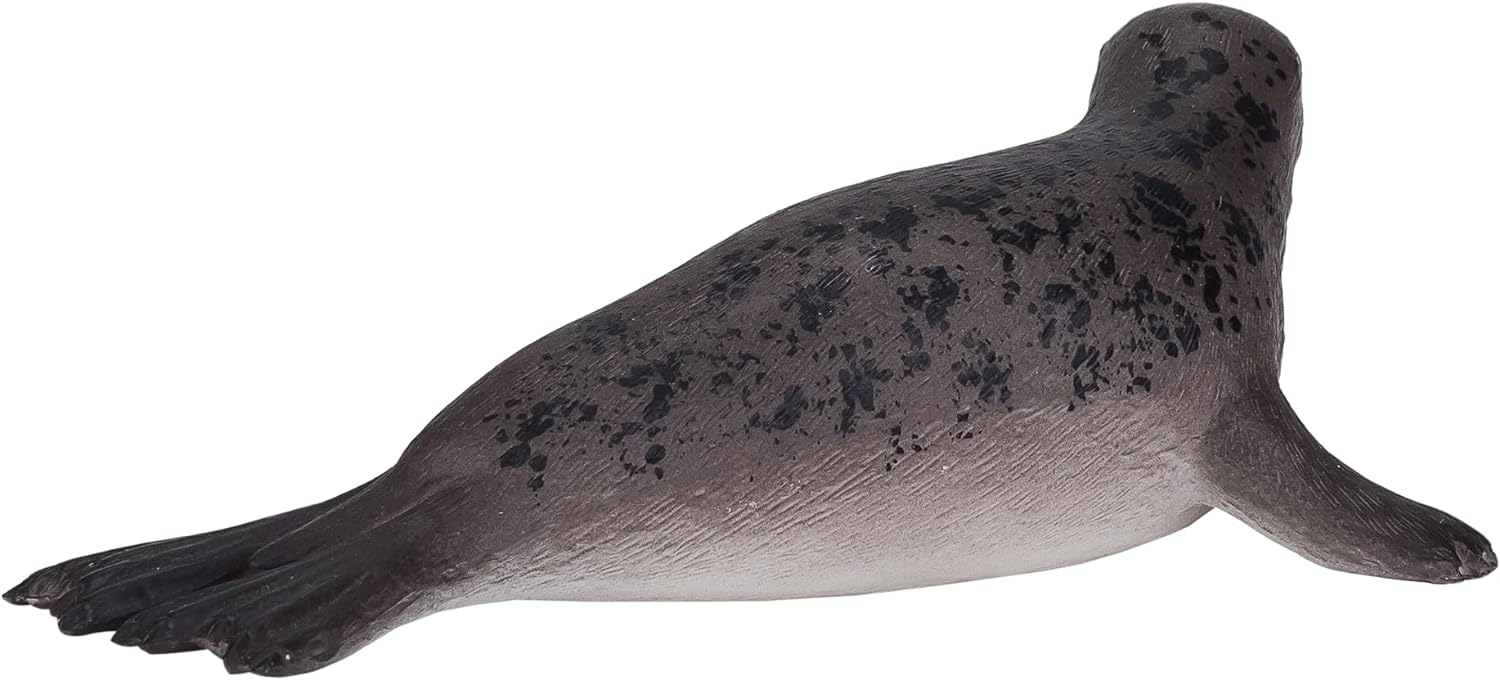 Science4you - Foca, Kunststoff, Größe L, grau (787.0