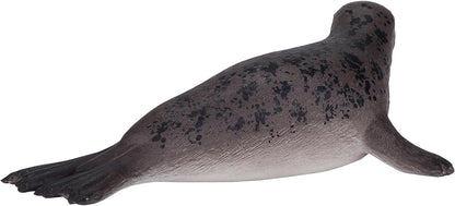 Science4you - Foca, Kunststoff, Größe L, grau (787.0
