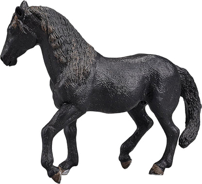 SINGLE UNIT - Andalusian Black