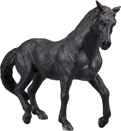 SINGLE UNIT - Andalusian Black
