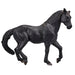 SINGLE UNIT - Andalusian Black