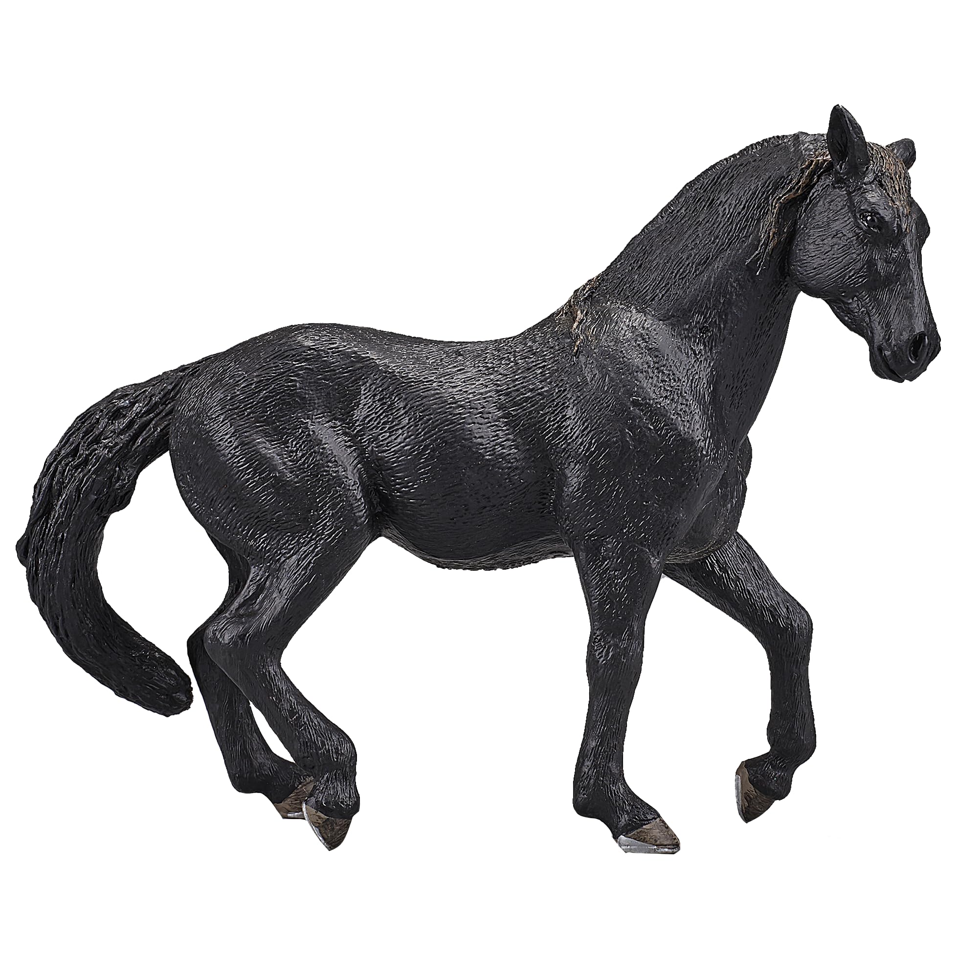 SINGLE UNIT - Andalusian Black