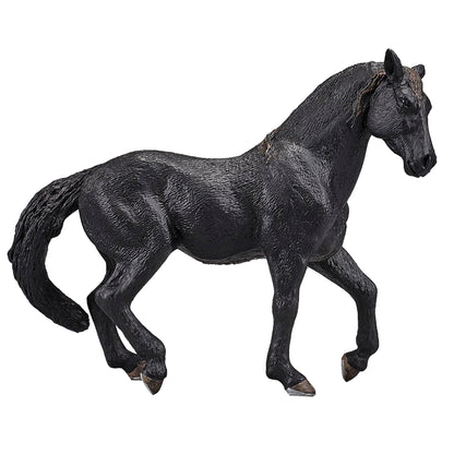 SINGLE UNIT - Andalusian Black