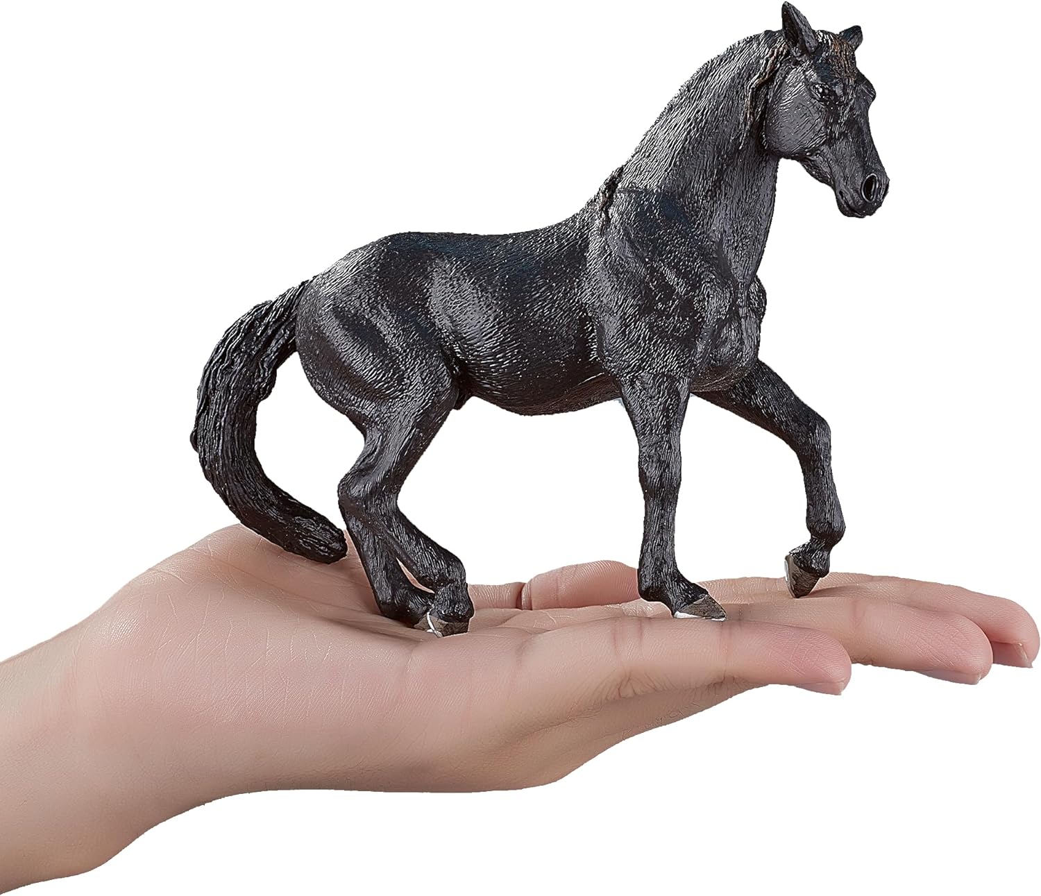 SINGLE UNIT - Andalusian Black