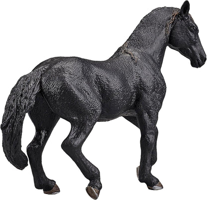SINGLE UNIT - Andalusian Black