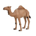 MOJO Arabian Camel Wildlife Animal Model Toy Figure