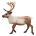 MOJO - Animal Planet Rentier, braun (387186