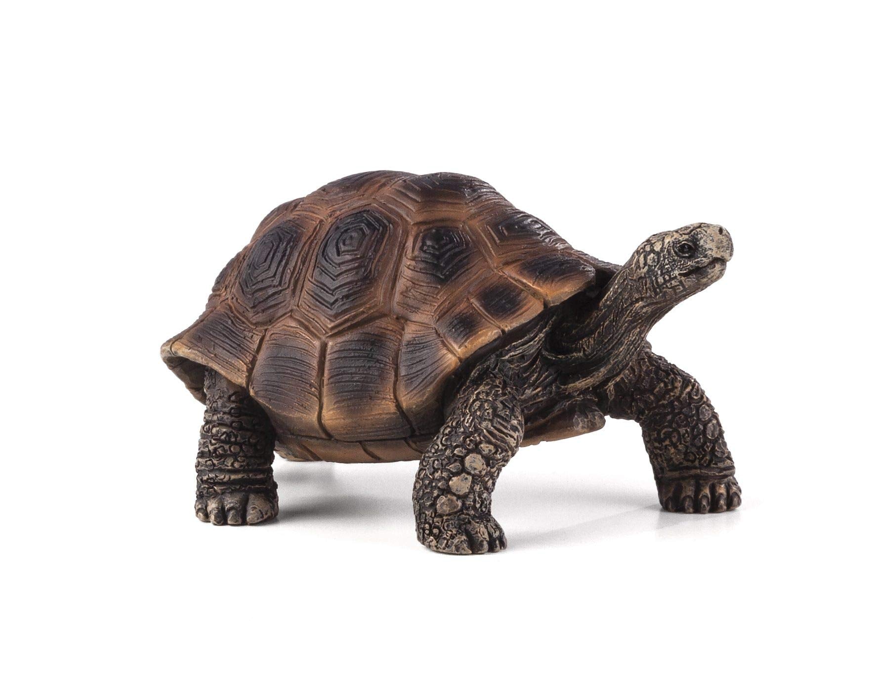 MOJO Animales, Color Mixto (387259