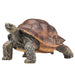 MOJO Animales, Color Mixto (387259