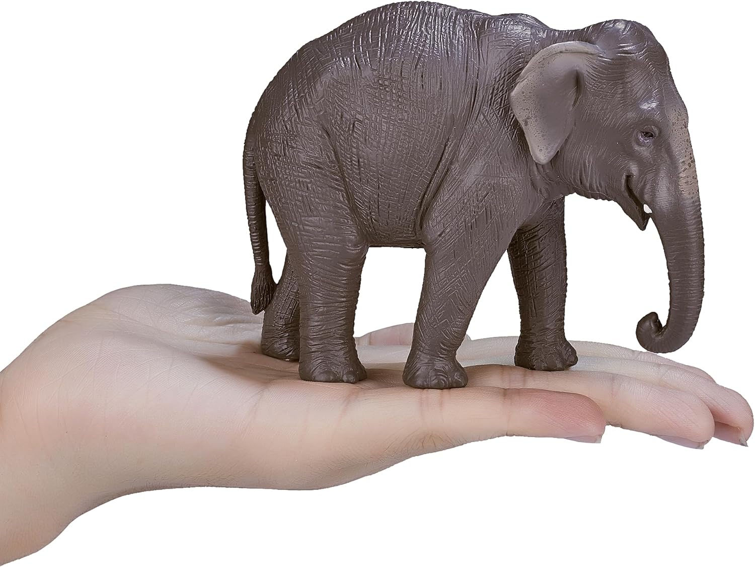 MOJO - Asian Elephant | Hand-Painted Toy Figure | Wildlife Collection | True to Life & Highly Detailed | Designed in UK.
