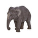 MOJO - Asian Elephant | Hand-Painted Toy Figure | Wildlife Collection | True to Life & Highly Detailed | Designed in UK.