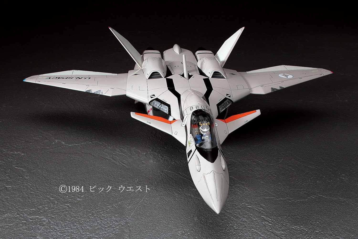 Hasegawa VF-11B Thunderbolt (1/72 scale Plastic model) Macross PLUS