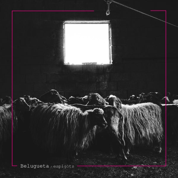 Belugueta - Espigots