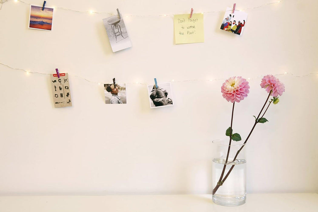 Mini Clothspin String Lights (LT17-EU