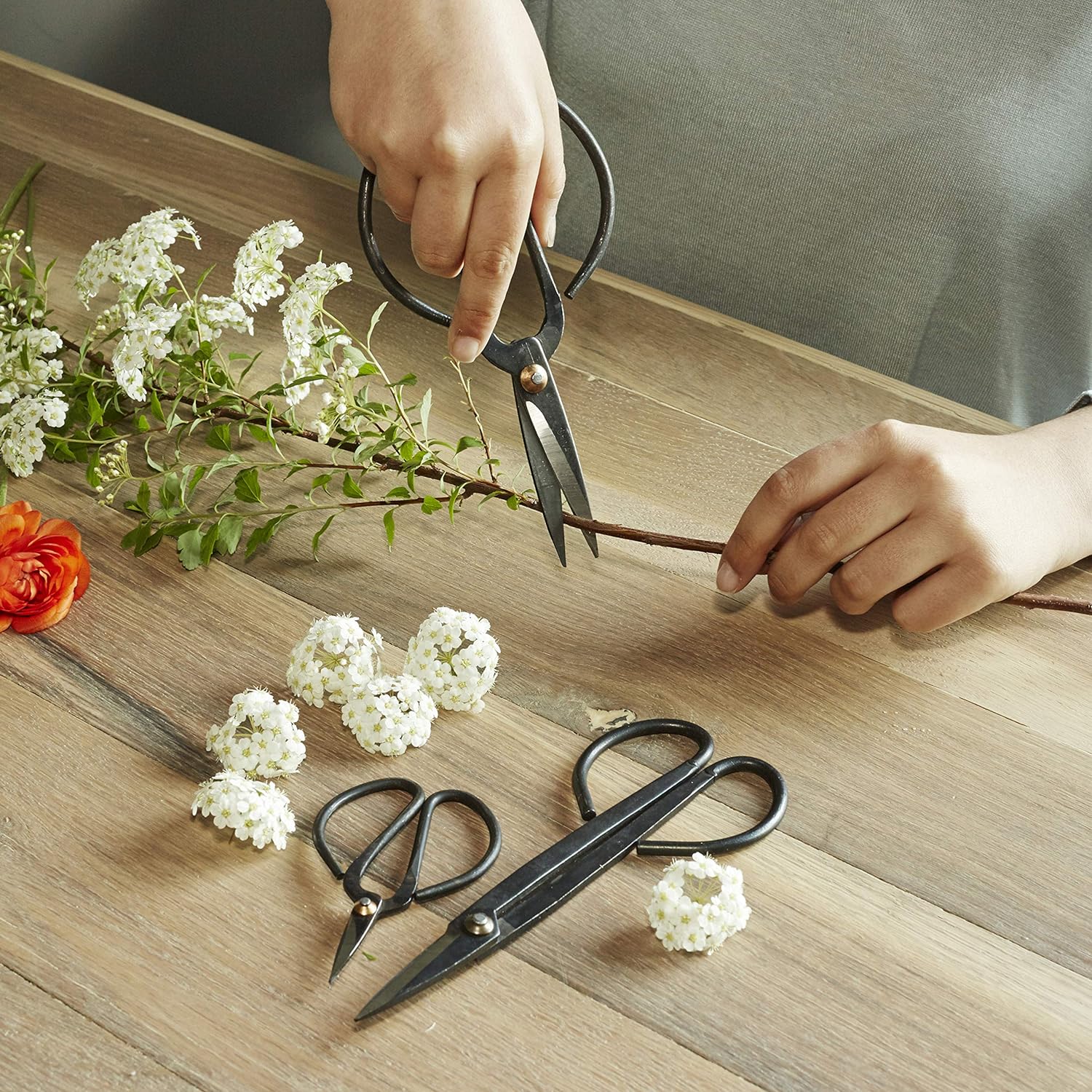 Scissor Set For Garden (Sc37)