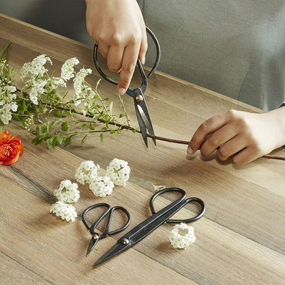 Scissor Set For Garden (Sc37)