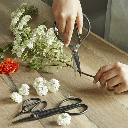 Scissor Set For Garden (Sc37)