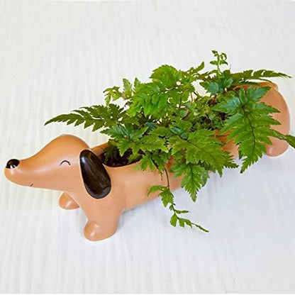 Daisy The Dachshund Planter (Pl17)