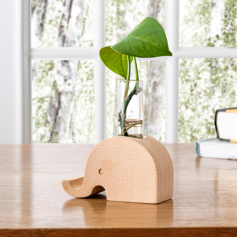 Elephant Propagation Vase (Vs01)