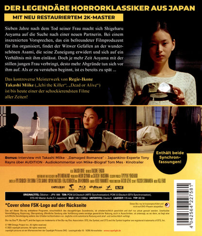 MIIKE, TAKESHI - AUDITION