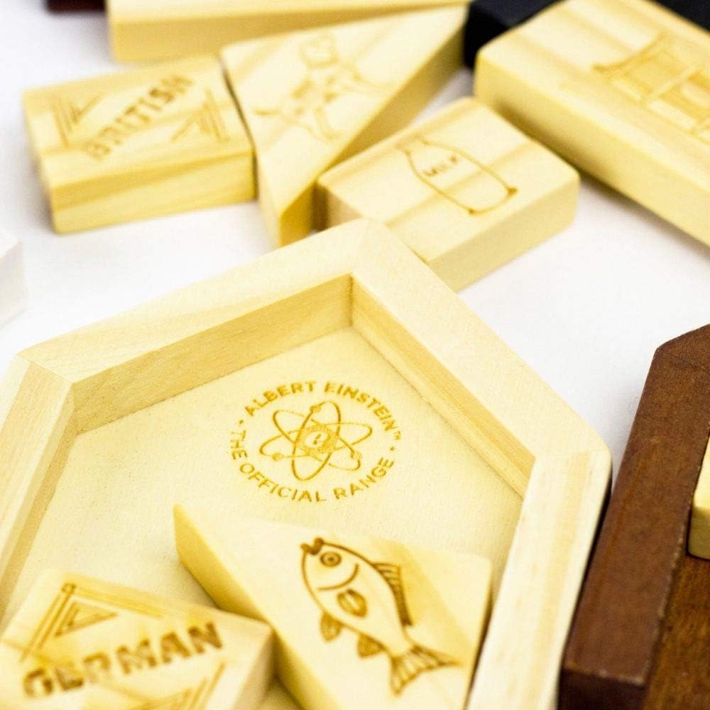 Professor Puzzle Einstein's House Riddle - Brain Teaser Puzzle - 3D Wooden Puzzle