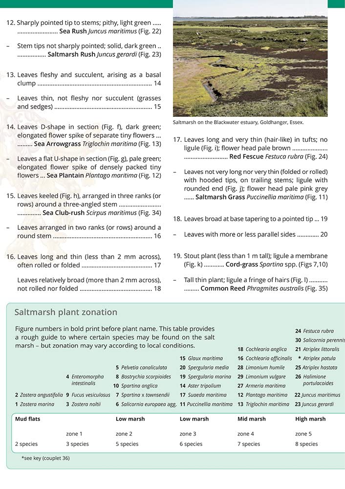 Guide to the Saltmarsh Plants of Britain