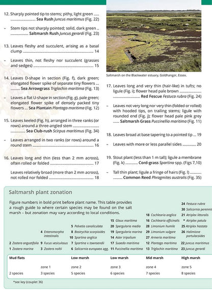Guide to the Saltmarsh Plants of Britain