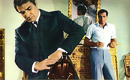 Keine Rosen für OSS 117