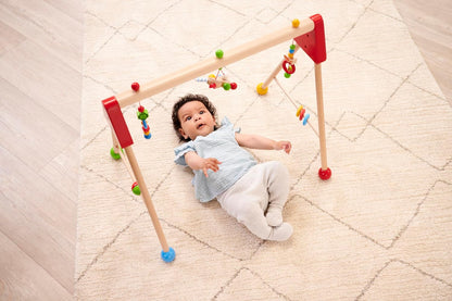 Eichhorn 100017032 Play Arch, Colourful