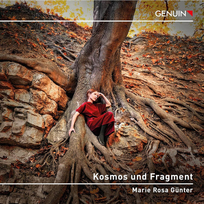 Marie Rosa Günter: Kosmos Und Fragment