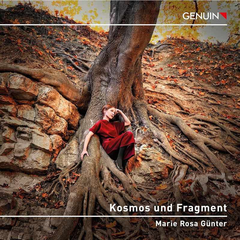 Marie Rosa Günter: Kosmos Und Fragment