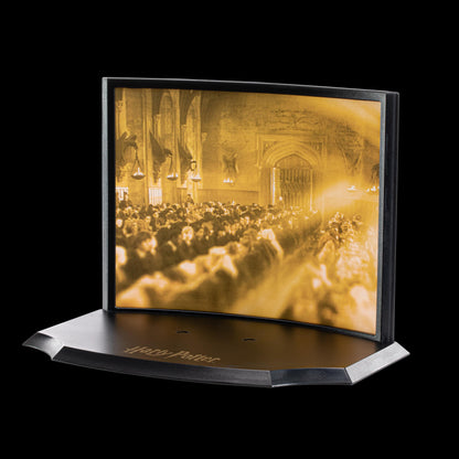 The Noble Collection Toyllectible Treasure Hedwigs special delivery
