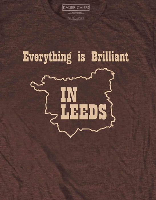 Kaiser Chiefs T Shirt Everything is Brilliant Band Logo New Official Mens