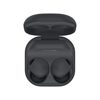 Galaxy Buds 2 Pro Gray